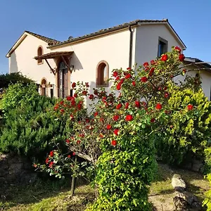 Alloggio per agriturismo Borgo De' Muracci, Ribolla
